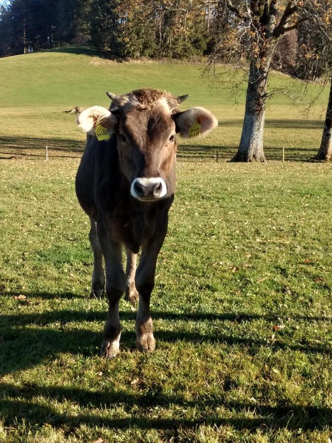 Eistobel Und Felderhalde Lejlighed Isny im Allgäu Eksteriør billede